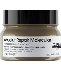 L'Oréal Professionnel Absolut Repair Molecular maska na poškozené vlasy 250ml