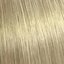 10/81 nejsvětlejší perleťově popelavá blond