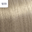 9/19 velmi světlá popelavě plavá blond