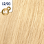 12/03 Special Blonde přírodní zlatá