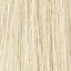 12/1 Special Blonde popelavá