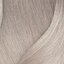 10NV nejsvětlejší přírodní fialová blond