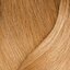 509N velmi světlá přírodní blond pro extra krytí