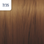7/35 zlato mahagonová blond